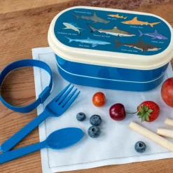Children's bento box - Sharks