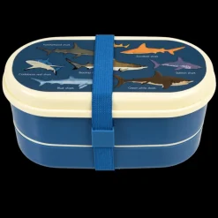 Children's bento box - Sharks