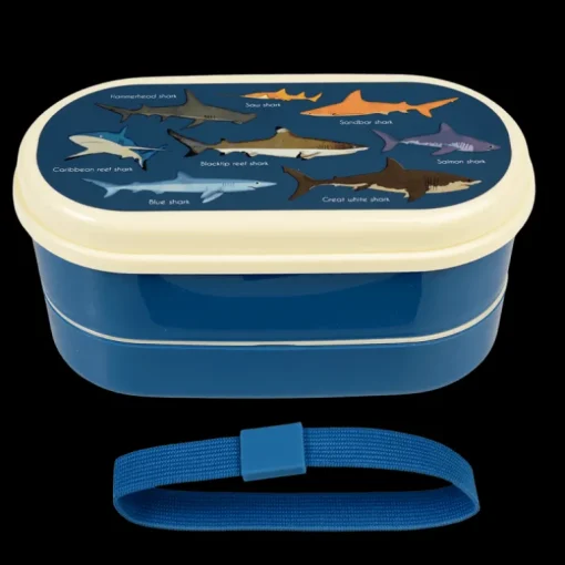 Children's bento box - Sharks