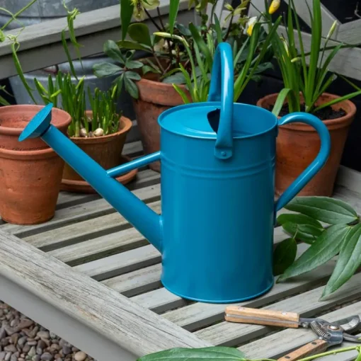Galvanised steel watering can 4.5L - Blue