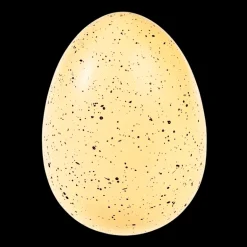 Giant hatching fairy egg - Fairies in the Garden