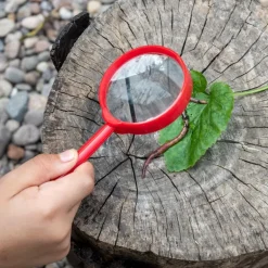 Magnifying glass - Wonders of Nature