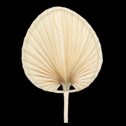 Palm leaf hand fan