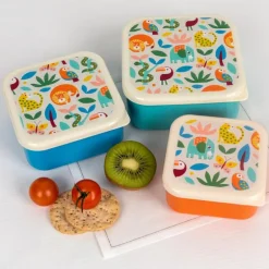 Snack boxes (set of 3) - Wild Wonders