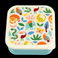 Snack boxes (set of 3) - Wild Wonders