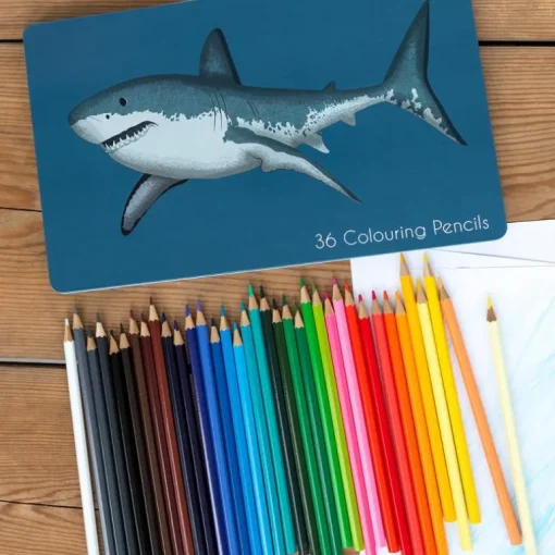 36 colouring pencils in a tin - Sharks
