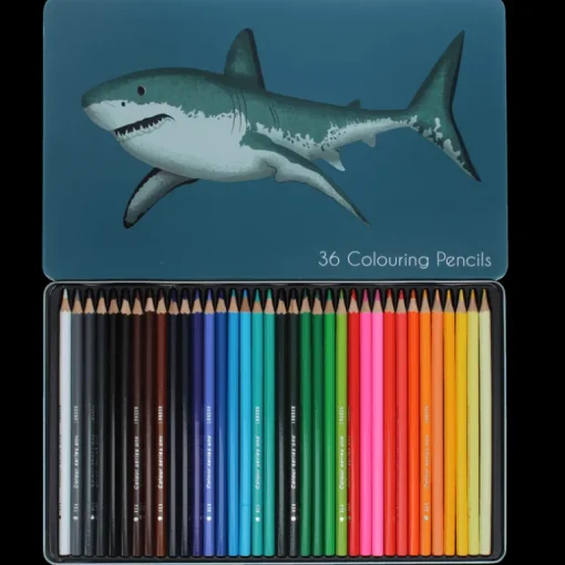36 colouring pencils in a tin - Sharks