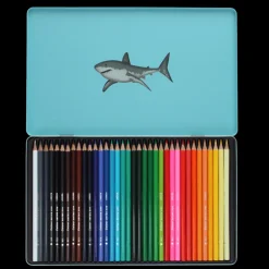 36 colouring pencils in a tin - Sharks