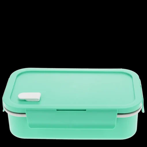 Double wall lunch box with divider - Aqua