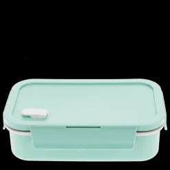 Double wall lunch box with divider - Pale blue