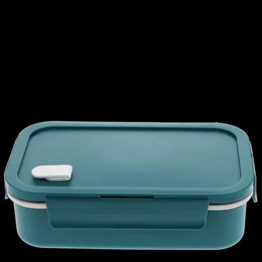 Double wall lunch box with divider - Blue