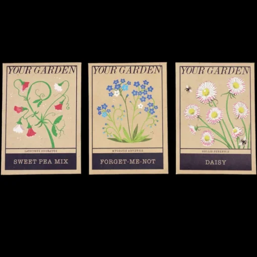 Pack of flower seeds - Your Garden (assorted - SINGLE)