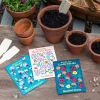 Pack of flower seeds (assorted - SINGLE)
