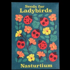 Pack of flower seeds (assorted - SINGLE)