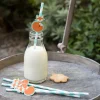 Paper straws (pack of 4) - Rusty the Fox
