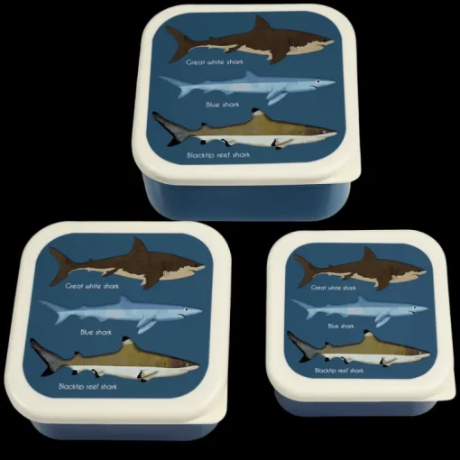 Snack boxes (set of 3) - Sharks