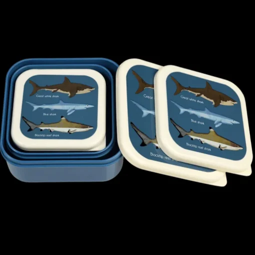 Snack boxes (set of 3) - Sharks