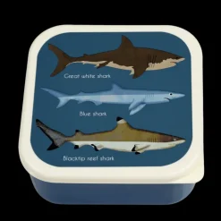 Snack boxes (set of 3) - Sharks