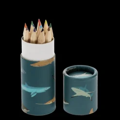Tube of colouring pencils - Sharks